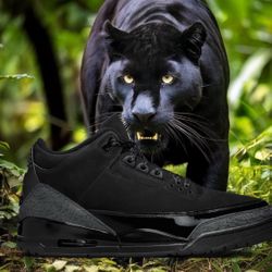 Air Jordan 3 Black Cats 