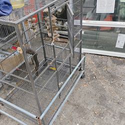 Bird Cage
