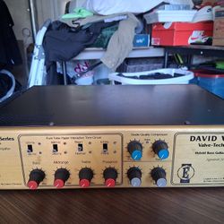 Eden VT-.25 Hybrid Bass Guitar Amp