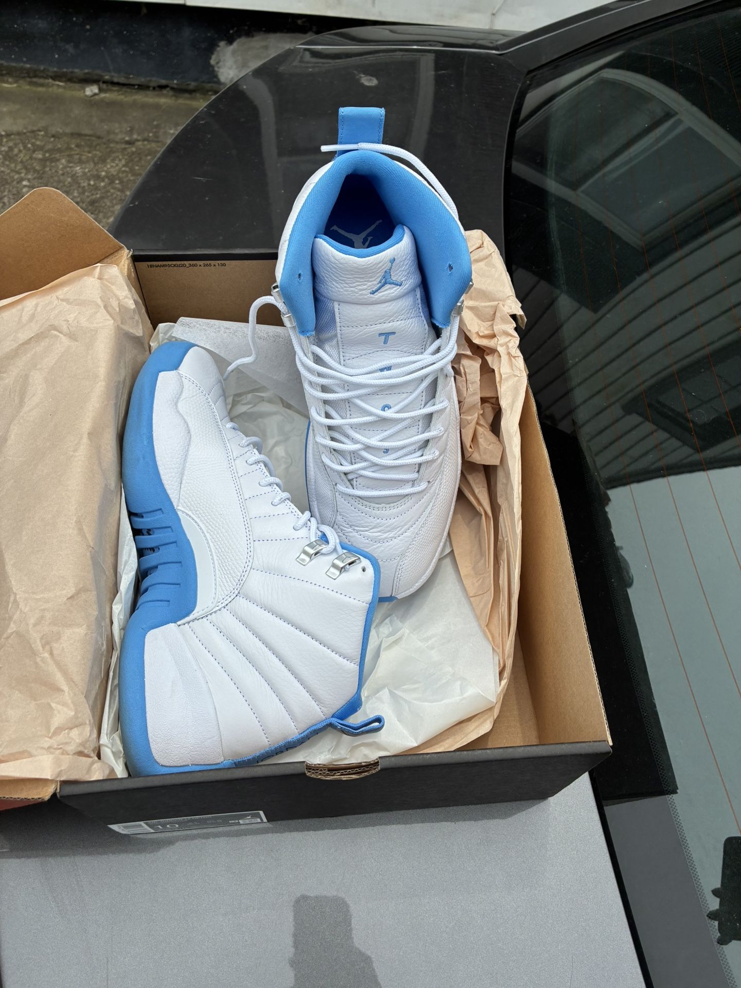 Jordan 12 Size 10