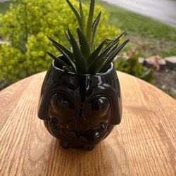 Star Wars Darth Vader Mug / Planter + Succulent 🌌