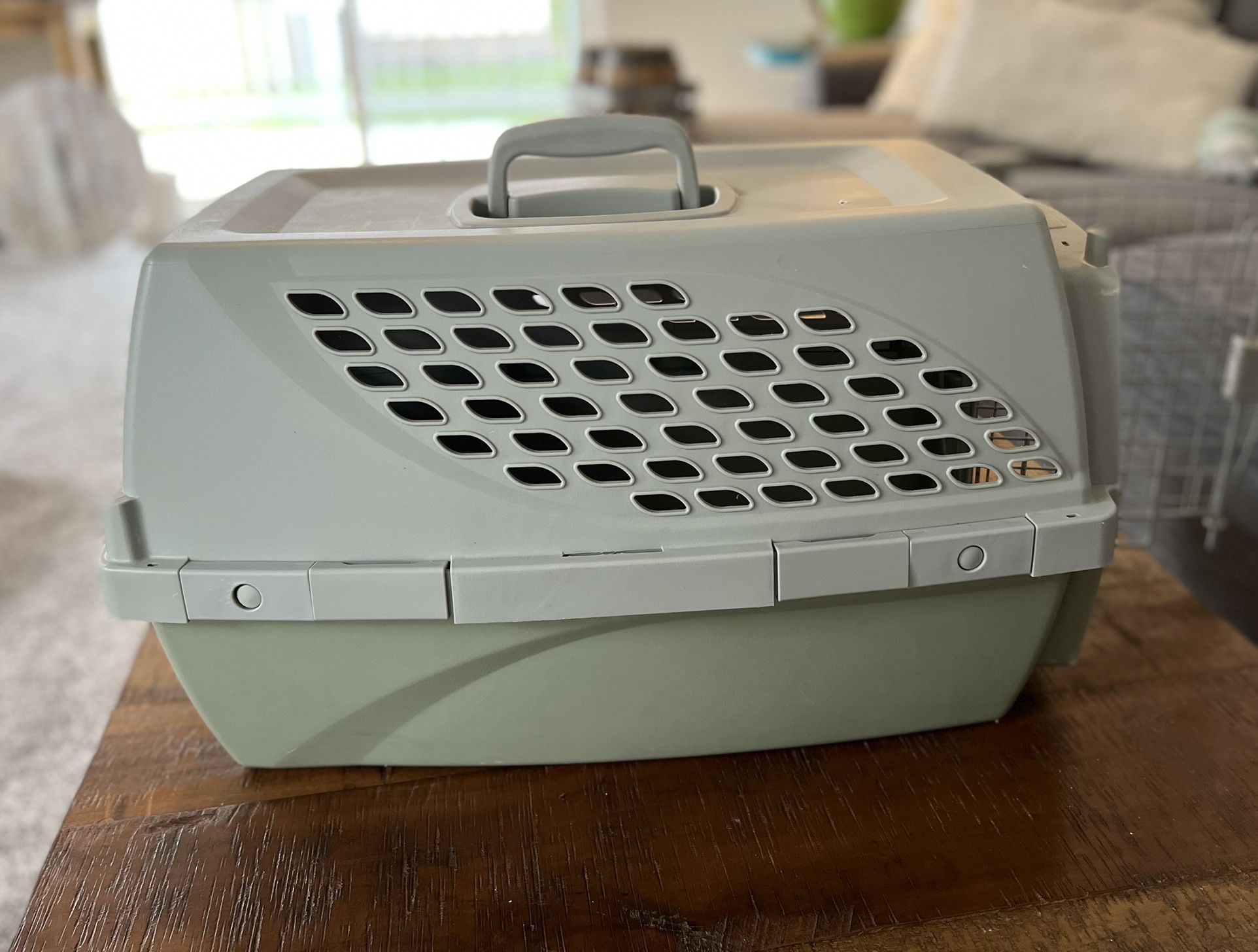 Small Green Pet Carrier 