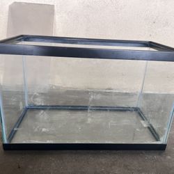 10 Gallon Fish Tank 