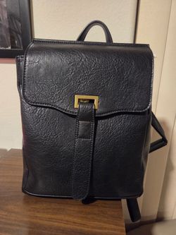 Lo Miel Black Solid Backpack