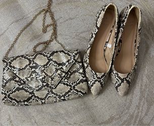Snake Print Matching Shoes & Purse