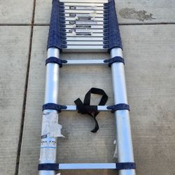 Xtend+Climb 15.5 ft. H Aluminum Extension Ladder Type I 250 lb. capacity