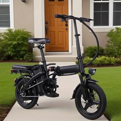 Adult Electric Bike 