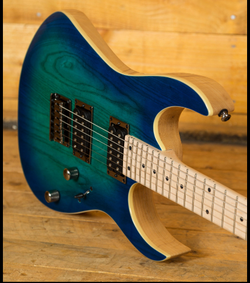 electric guitar