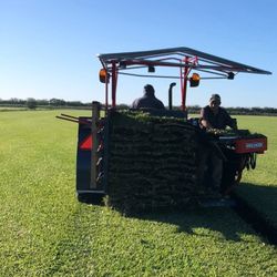 Sod For Sale Floratan And Palmetto
