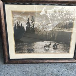 Art Picture For Sale , In Frame  , Well Protected