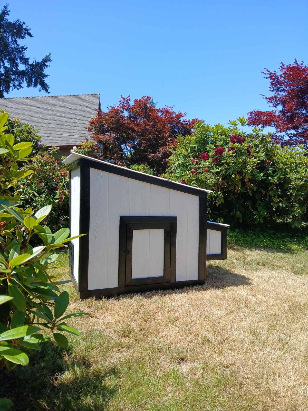 Chicken Coop