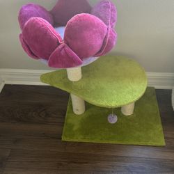 Cat Tree Flower 