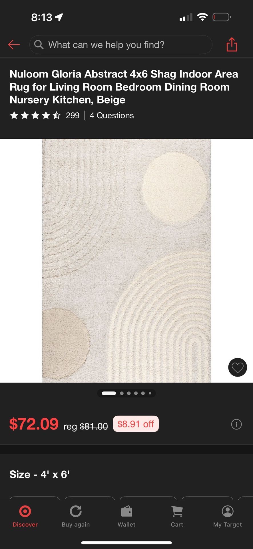 4x6 Rug