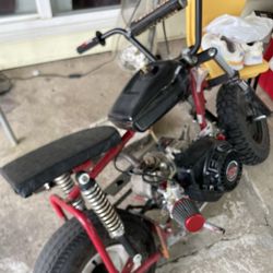 212cc Predictor 