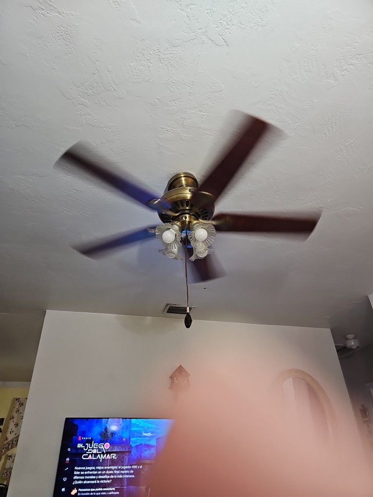 Ceiling Fan