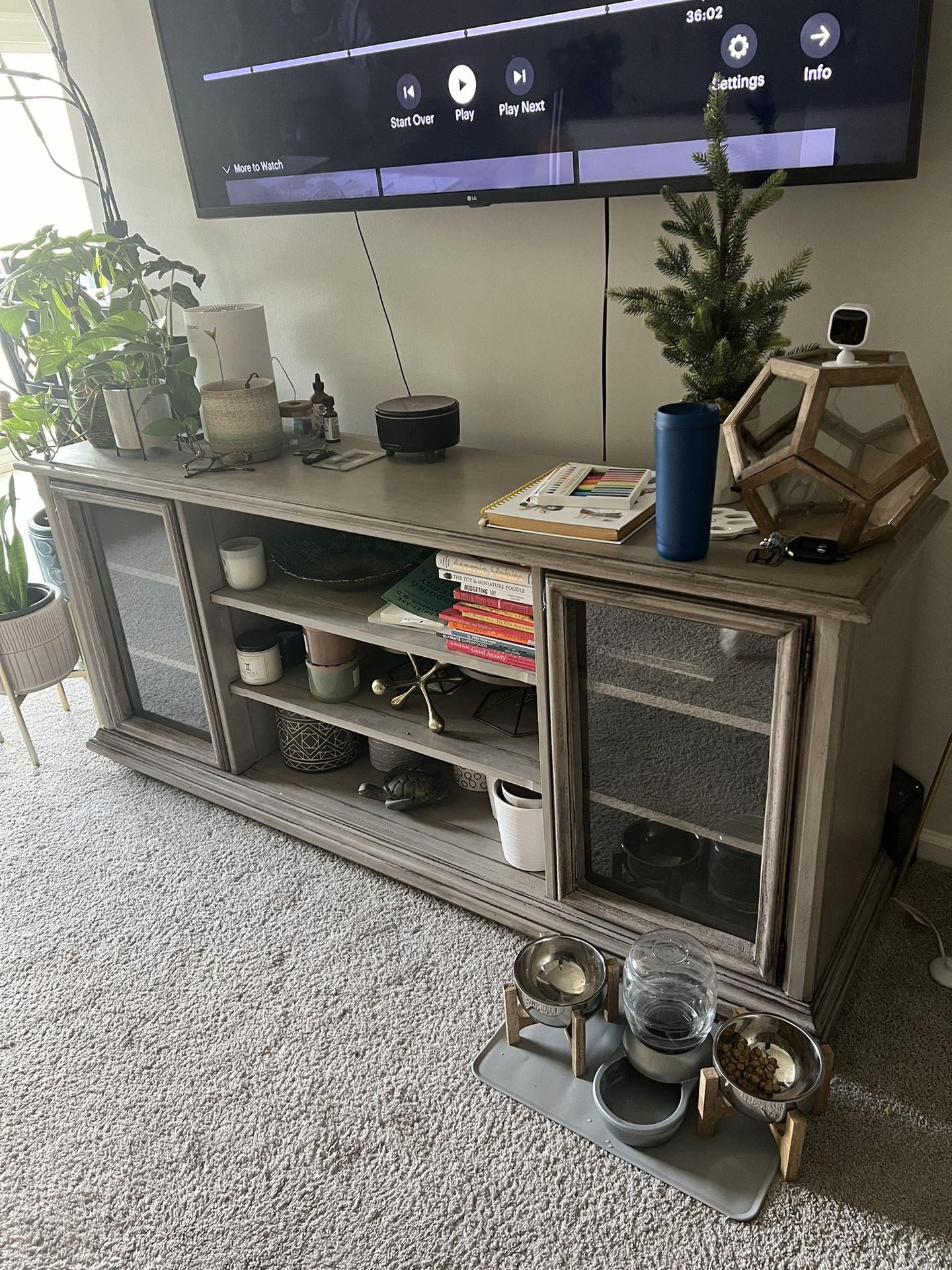 Entrainment Center and Cabinet