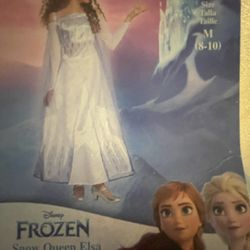 Disney Princess Elsa dress Costume