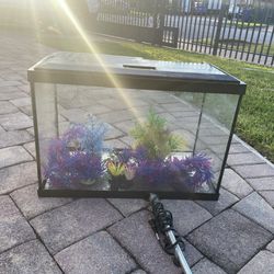 30 Gal tank with accessories 