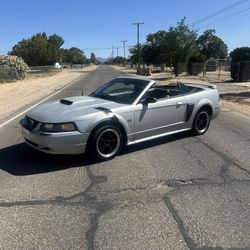 2001 Ford Mustang