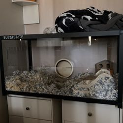 Hamster Cage