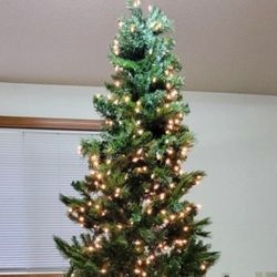 9 ft Wesley Pine Slim Christmas Tree
$75