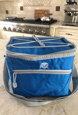 North Peak 6 can cooler, new