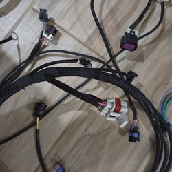 Genlll LS swap wiring harness