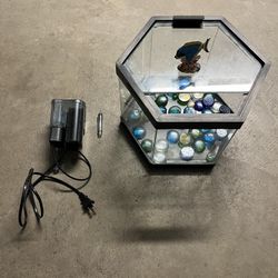 aquarium along with water filter