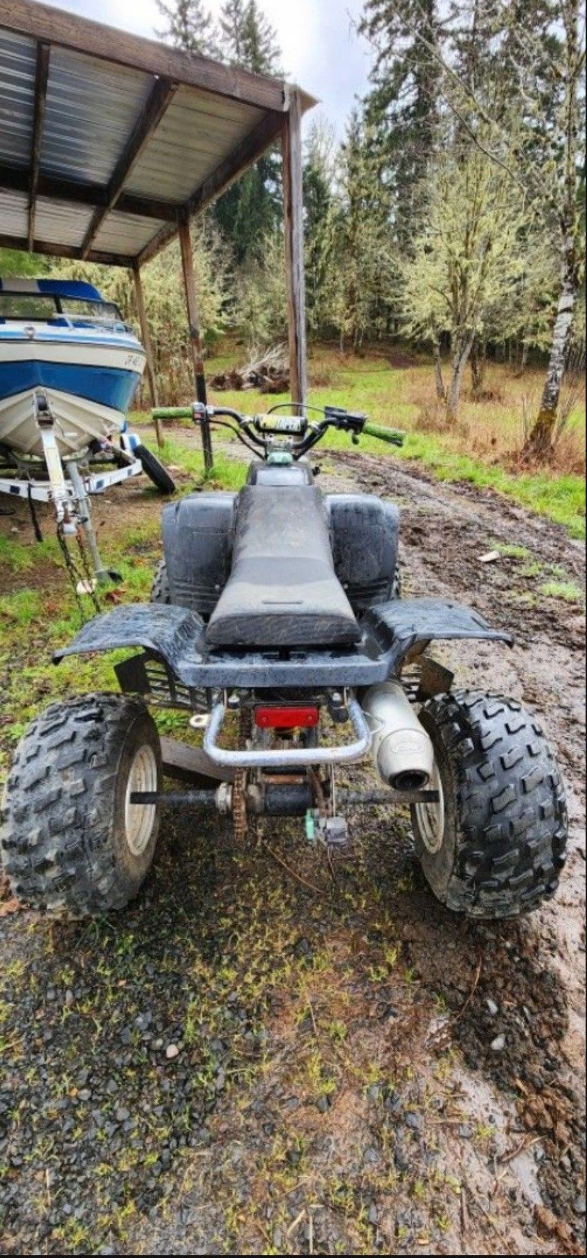 1997 Yamaha Warrior 350