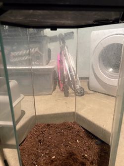 Hexagon terrarium