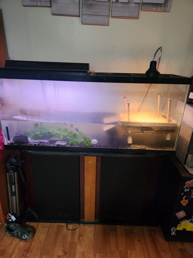 65 Gal Tank With Stand 