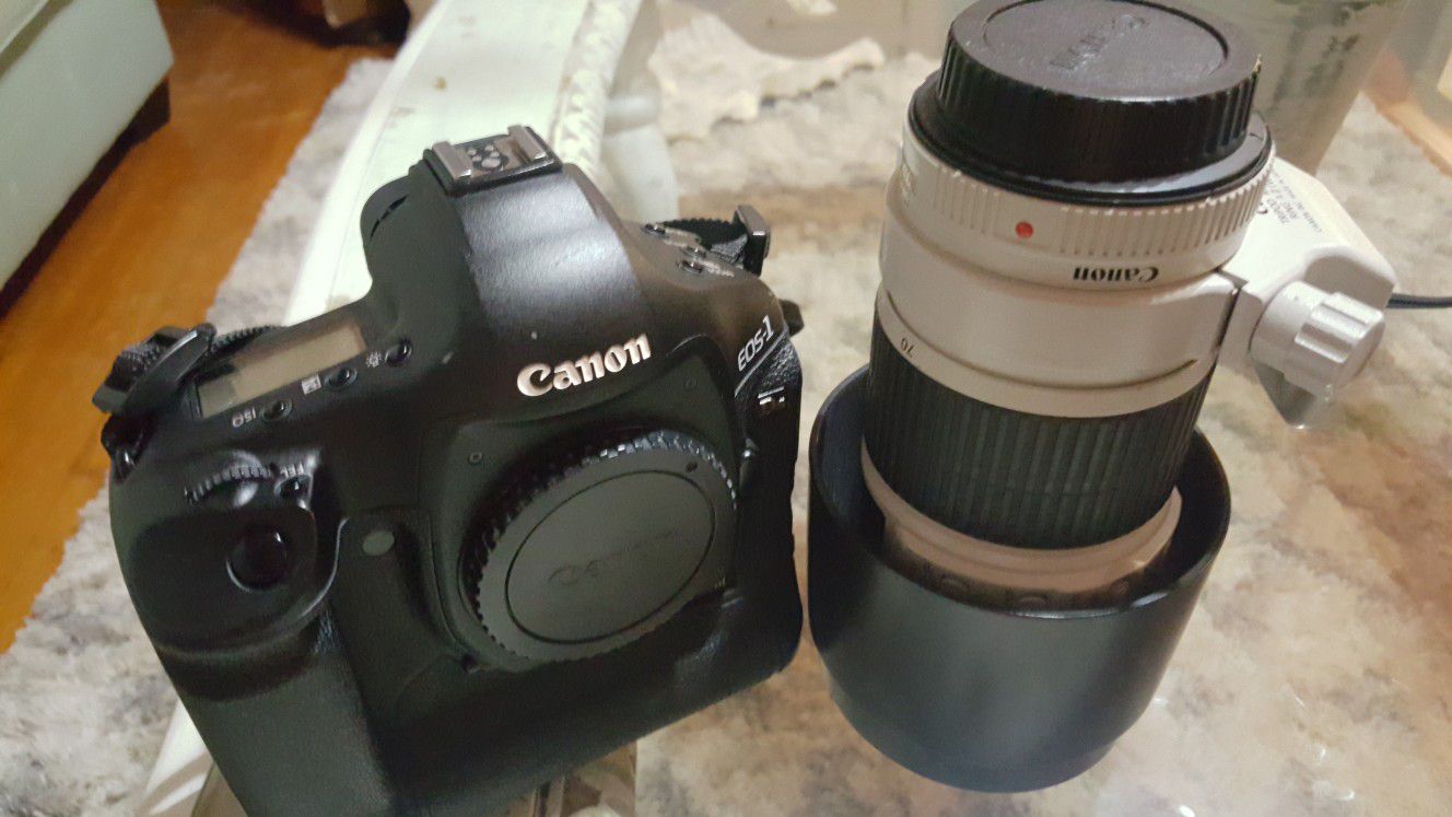 Canon 1Ds Mark III & Canon 70-200mm F4 Lens