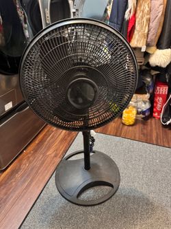 Black Pedestal Fan