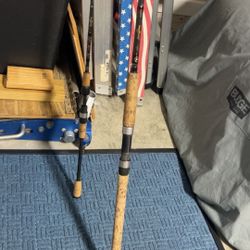 One Star Rod Stellar Light And One Star Rod Seagis