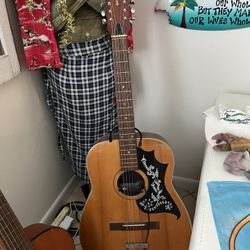 Vintage Silver Mellow Tone 12string Acoustic Guitar 