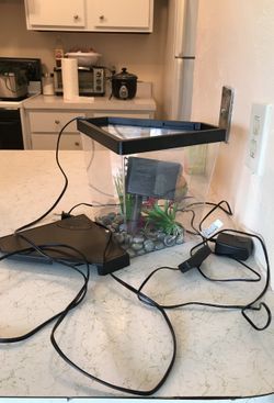Fish tank and filter