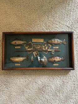 Fishing shadow box
