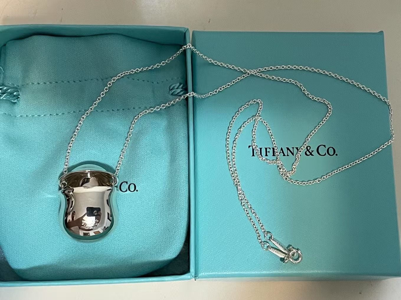 NEW Elsa Peretti for Tiffany Co Sterling Silver Bottle Necklace