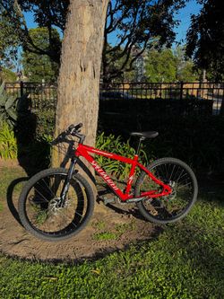 Medium Specialized Rockhopper Disc Mountain Bike + Extra Street Wheelset!