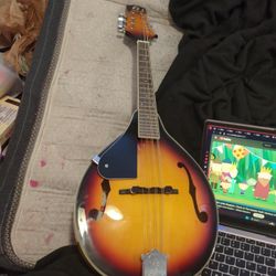 Sunburst Mandolin 