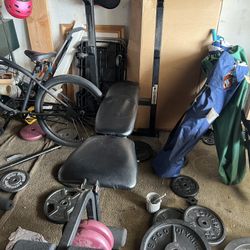 Biodyne Adjustable Bench Press 