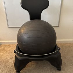 Ergonomic Gaiam Classic Balance Ball Chair