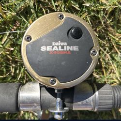Fishing Rod And Reel
