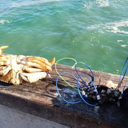 Pole Set For Fishing And Crabbing 