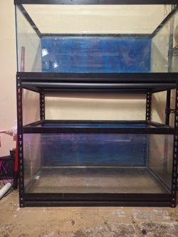 Two 40gallon Breeder Tanks