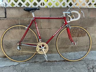 1985 Pinarello Treviso 56cm Vintage Road Bike - Campagnolo Victory/Record