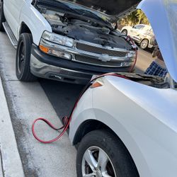 Womens adult Jessie costume