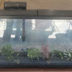 Aquarium 