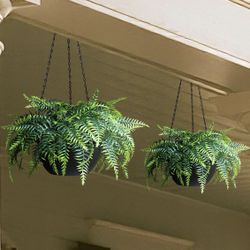 🌿 Set of 2 Artificial Hanging Fern Plants – UV Resistant Outdoor Décor 🌿 📍 Pickup Location: s. Durango & 215 near IKEA  Brand new hanging faux fern