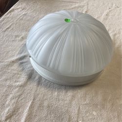 Celling Light Fixture  $5.00